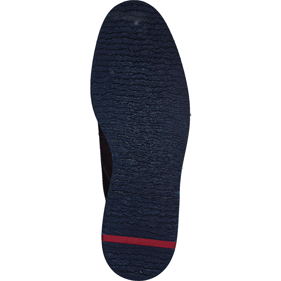 Fabio T.d.moro/ebony - Bild 7