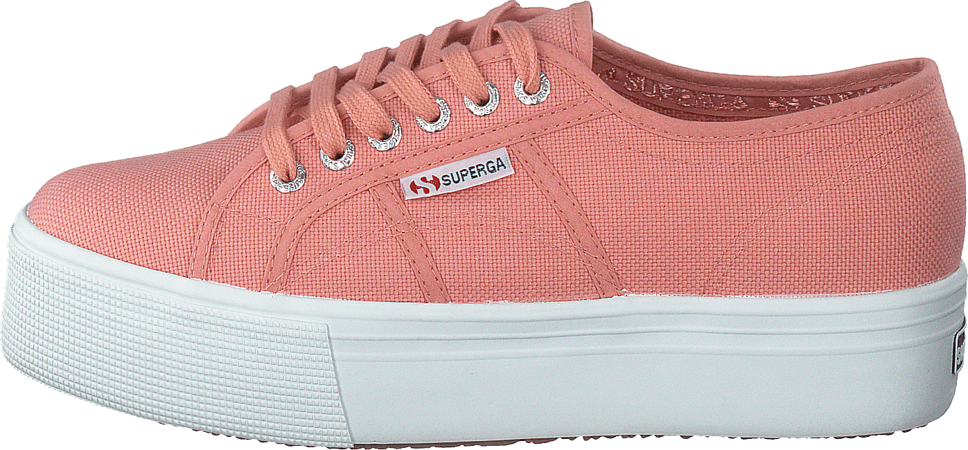 2790 Acotw Linea Rose Lobster