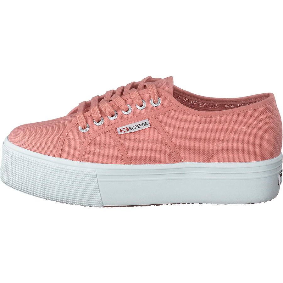 2790 Acotw Linea Rose Lobster