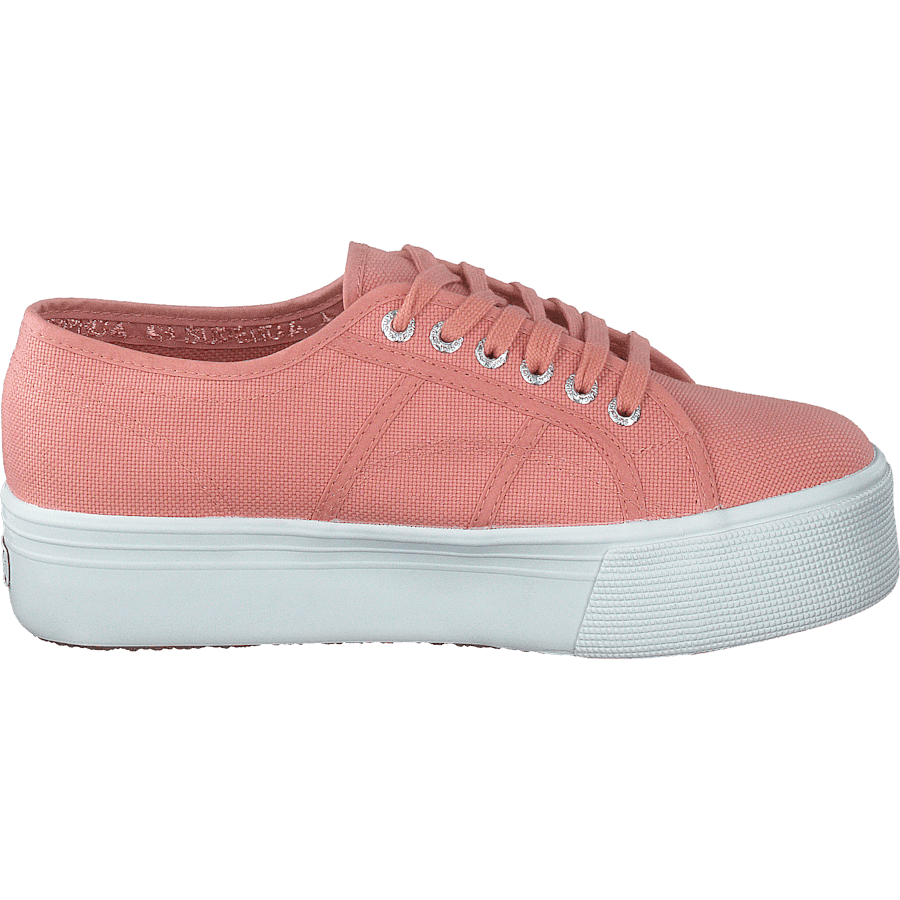 2790 Acotw Linea Rose Lobster - Bild 2