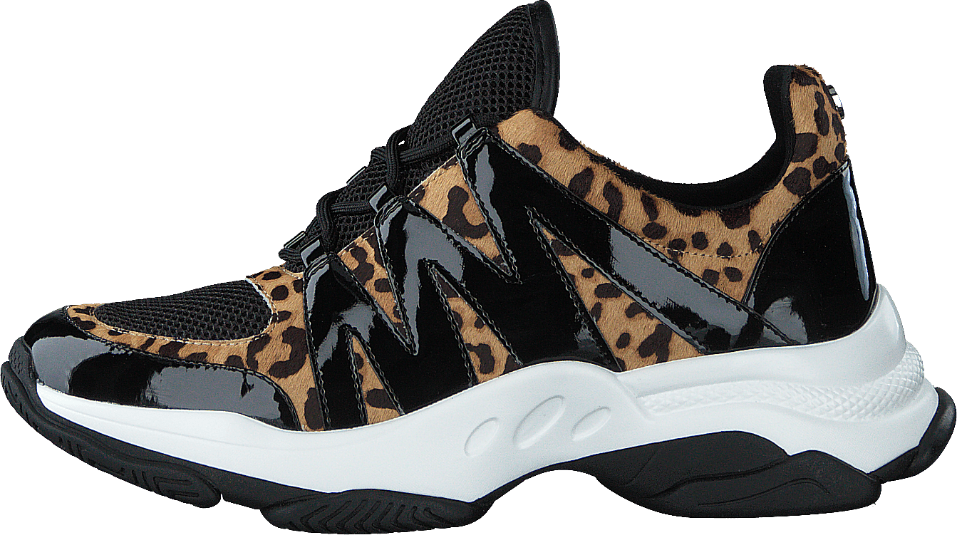 Maximus Leopard Multi Shoes for every occasion Footway