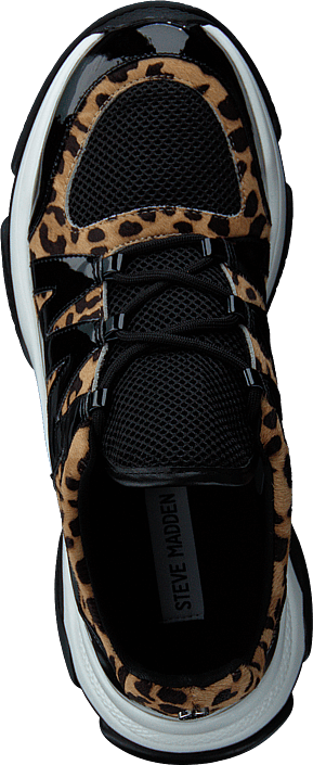 Maximus Leopard Multi | Footway