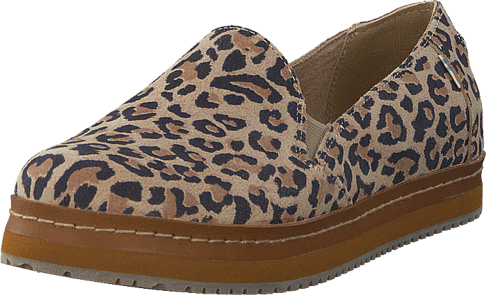 toms palma leopard