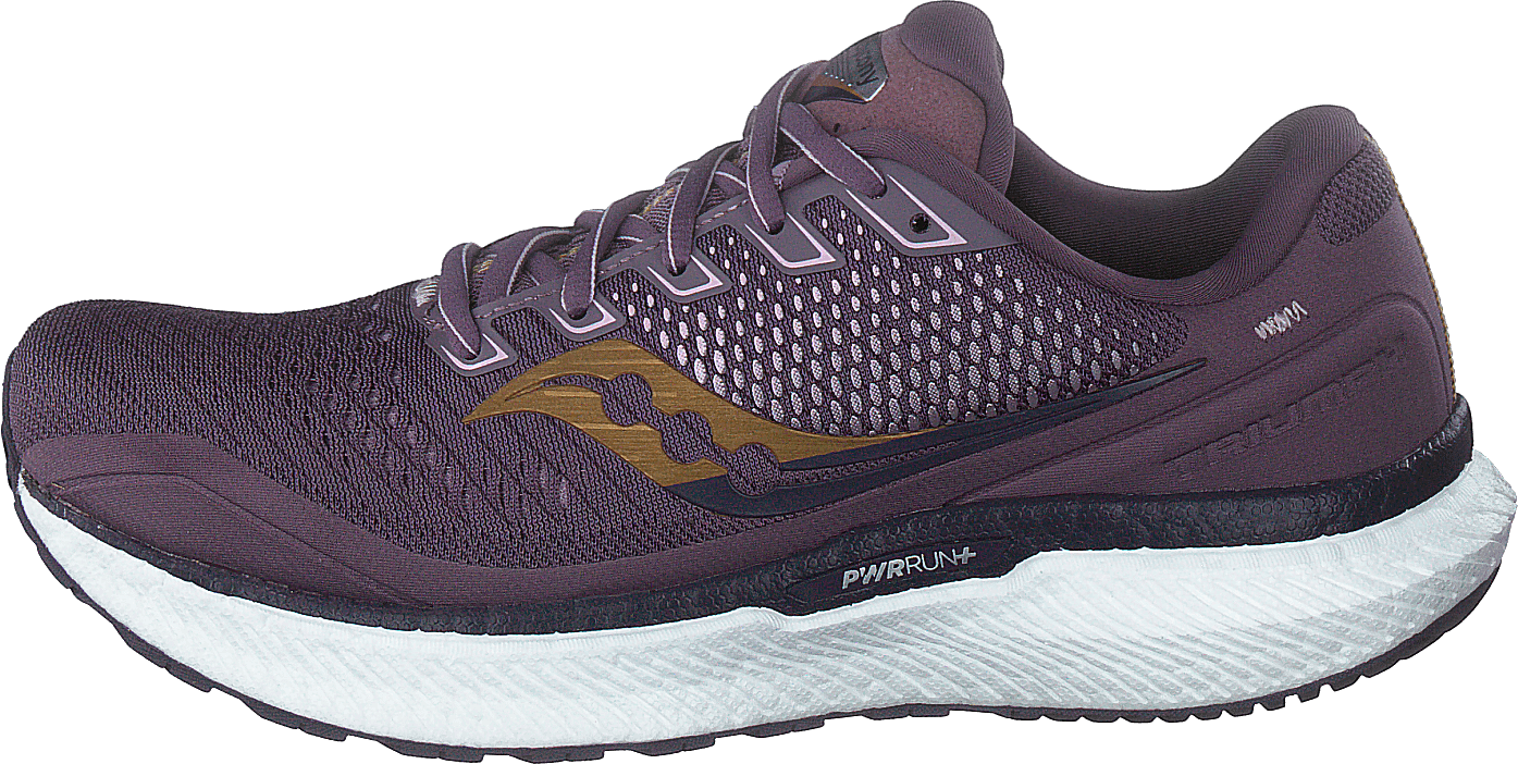 Triumph 18 Dusk/gold, Female, Sko, Sportssko, sportssko, Løping, Gull/Lilla, EU 41