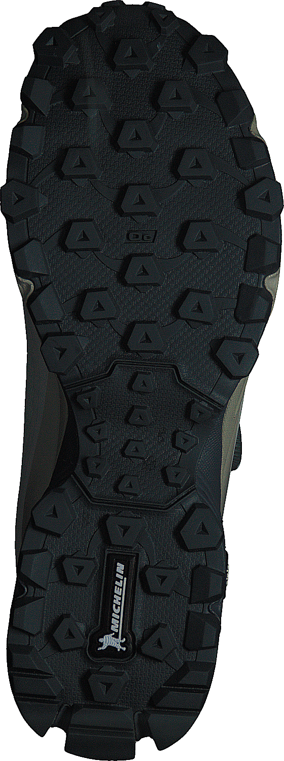 Anaconda Light V Boa Gtx Cream/charcoal