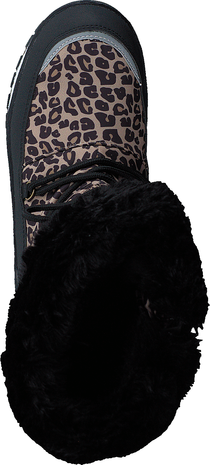 Ysby Leopard - Bild 6