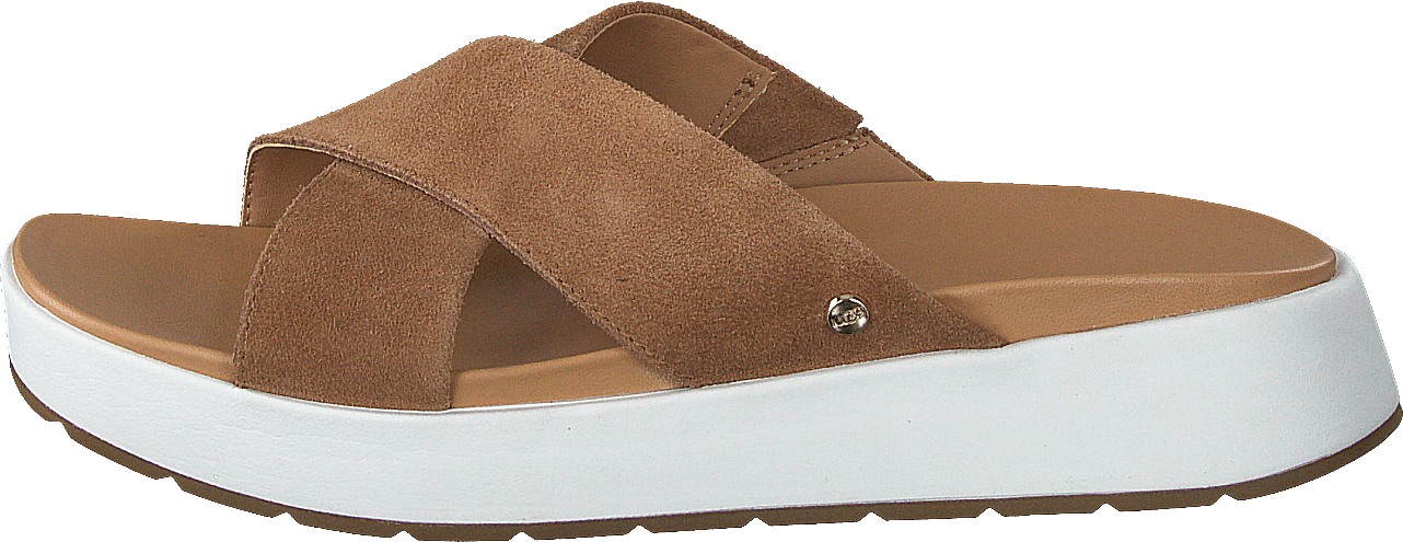 Emily Chestnut, Female, Skor, Sandaler och Tofflor, Flip flops, Brun, EU 42