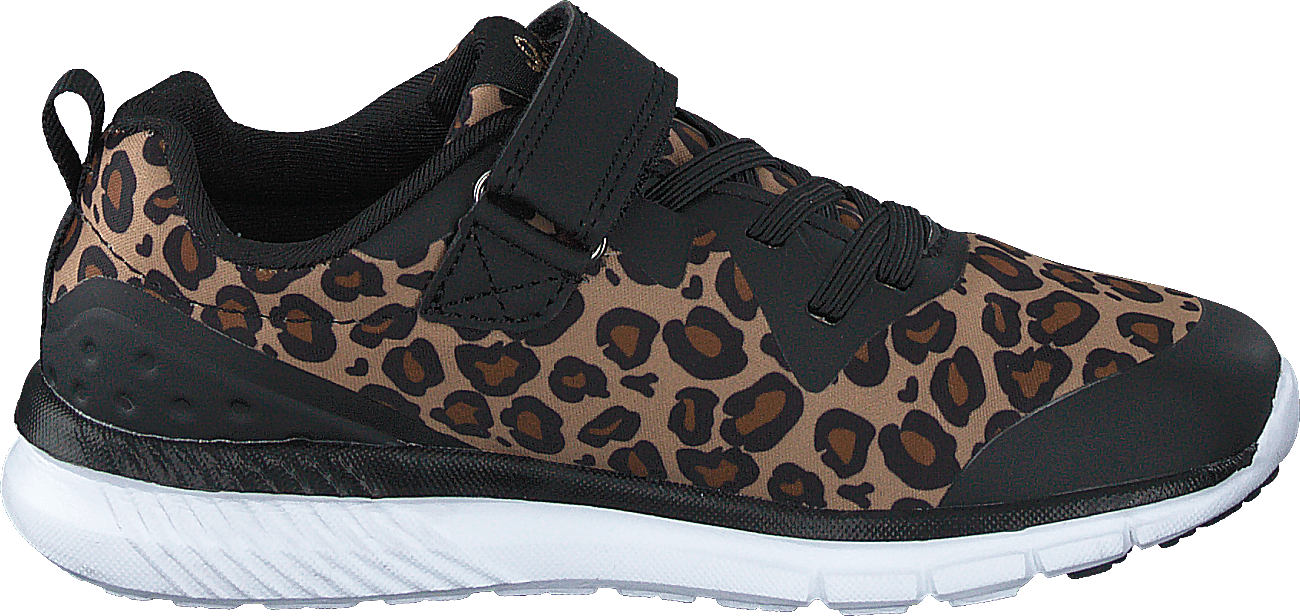 Kolima Leopard - Bild 2