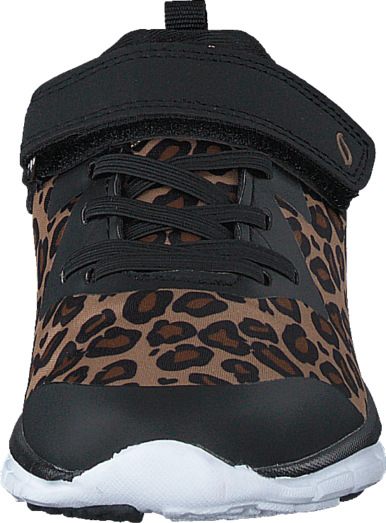 Kolima Leopard - Bild 4