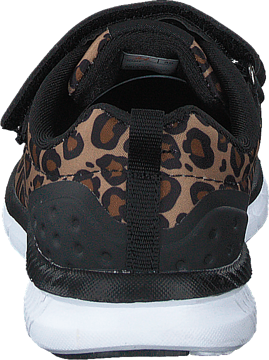 Kolima Leopard - Bild 5