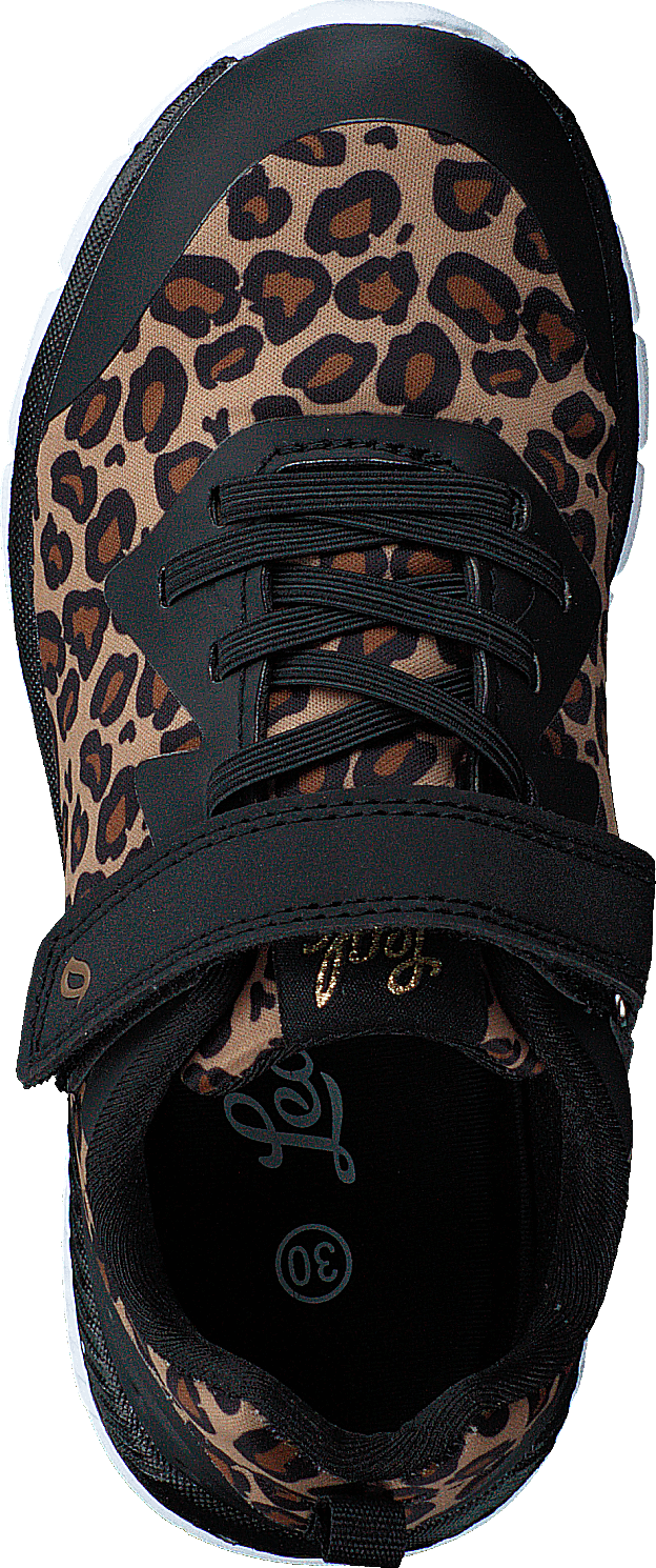 Kolima Leopard - Bild 6