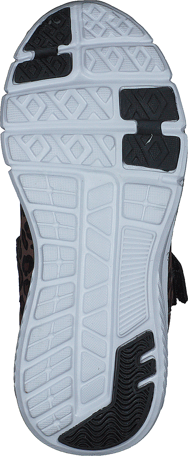 Kolima Leopard - Bild 7