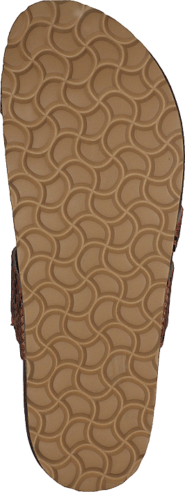 Adan Sand Snake - Bild 7