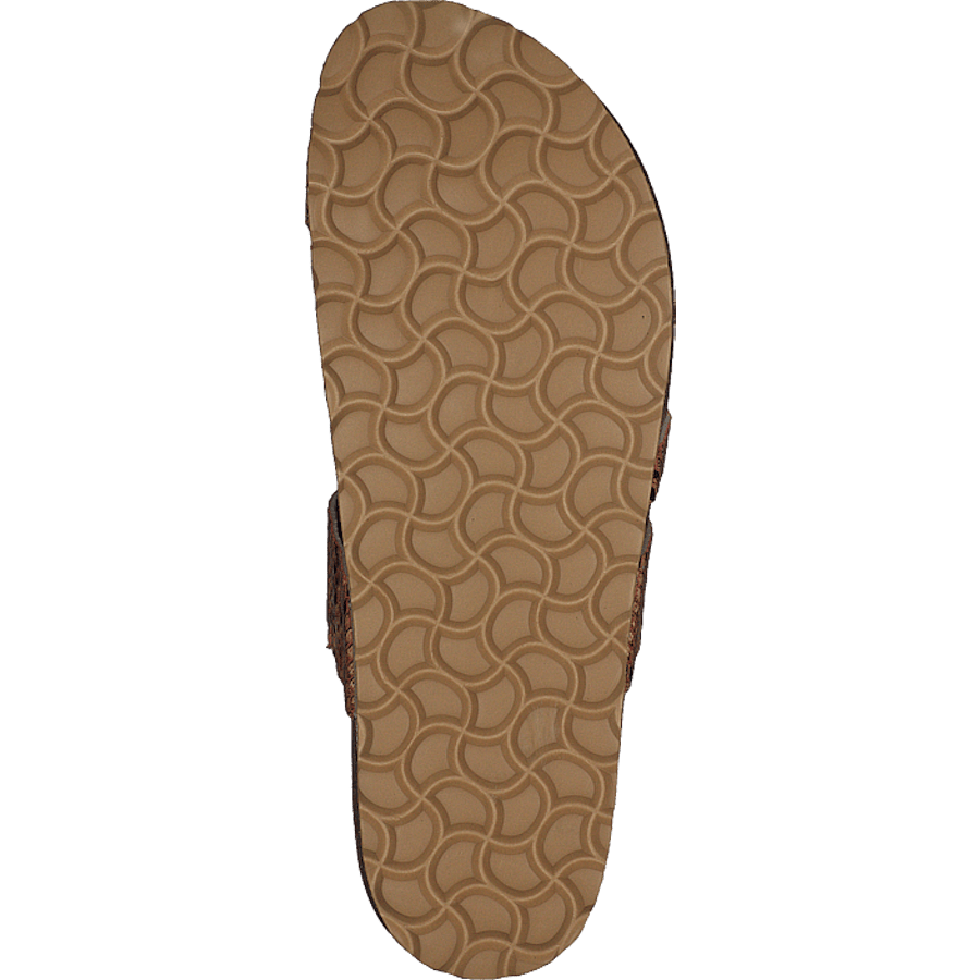 Adan Sand Snake - Bild 7