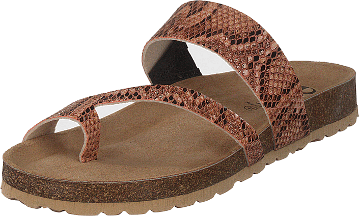 Adan Sand Snake - Bild 6