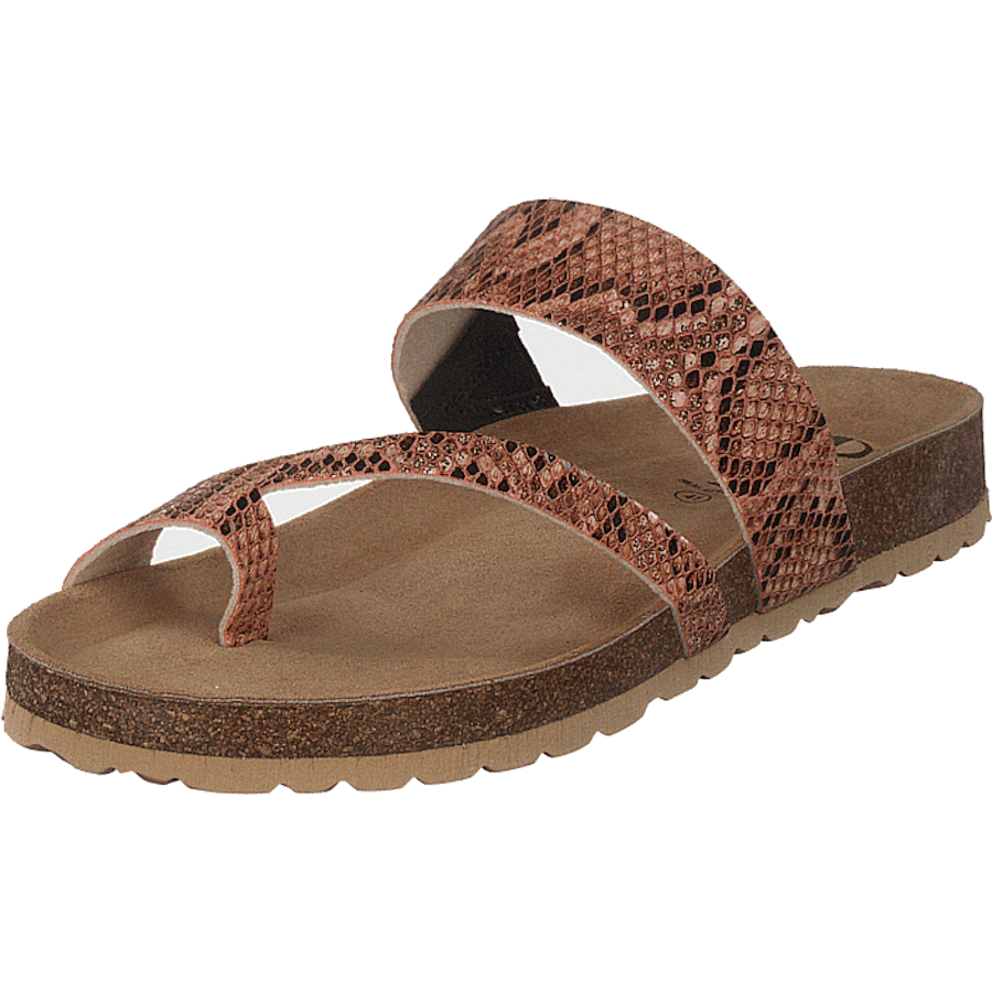 Adan Sand Snake - Bild 6