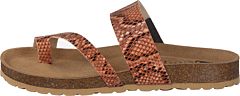 Adan Sand Snake - Bild 2