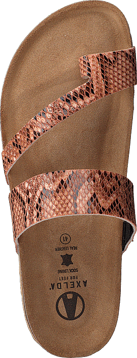 Adan Sand Snake - Bild 5
