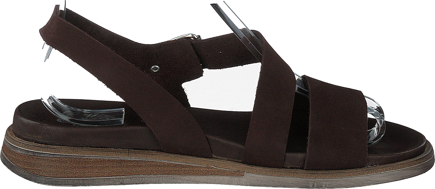 Lotta Brown - Bild 2