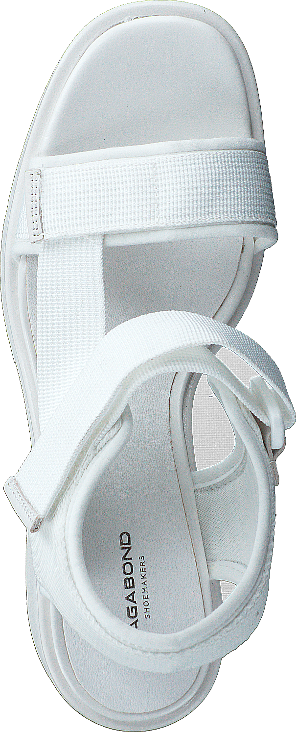 Dioon 4947-080-01 White - Bild 6