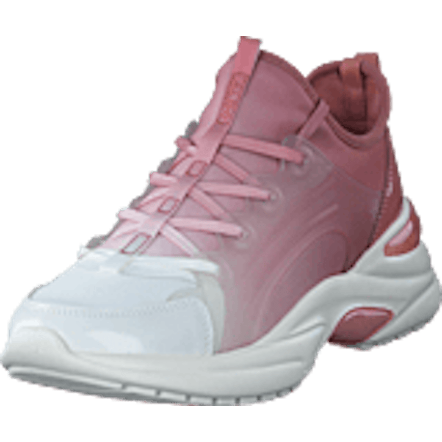 Dwardonii Other Pink