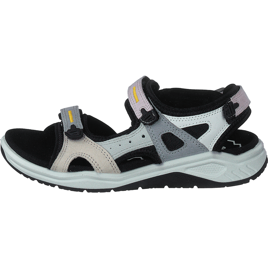 Ecco X-trinsic K Multicolor Blossom Rose