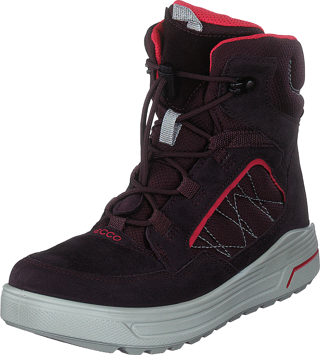 Ecco Urban Snowboarder Fig/teaberry