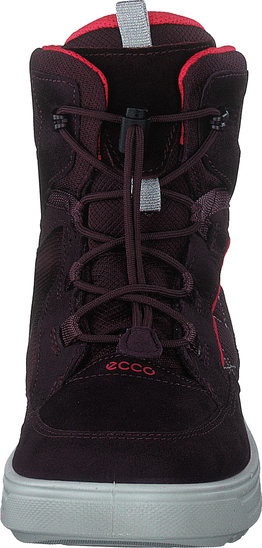 Ecco Urban Snowboarder Fig/teaberry - Bild 4