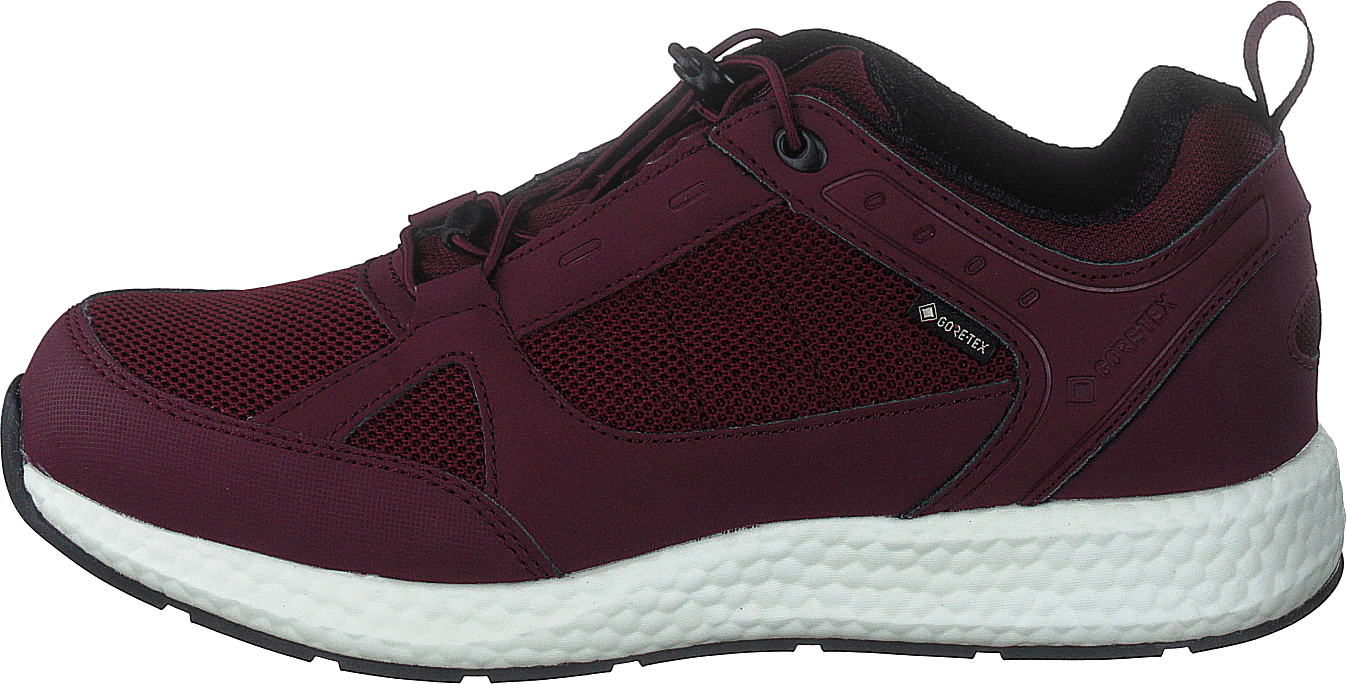 Orbit Smooth Gtx Bordo