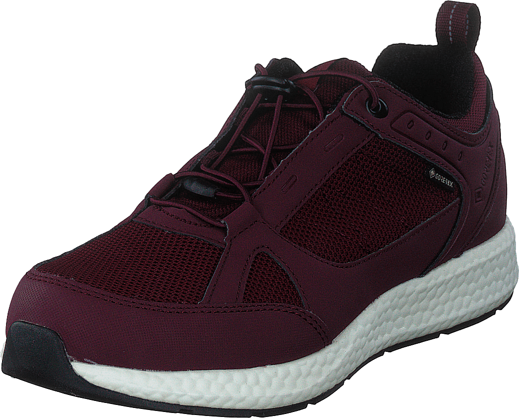 Orbit Smooth Gtx Bordo - Bild 3
