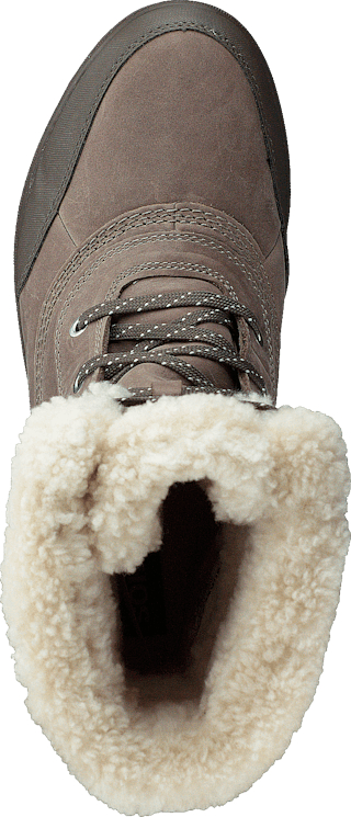 torino parc boot