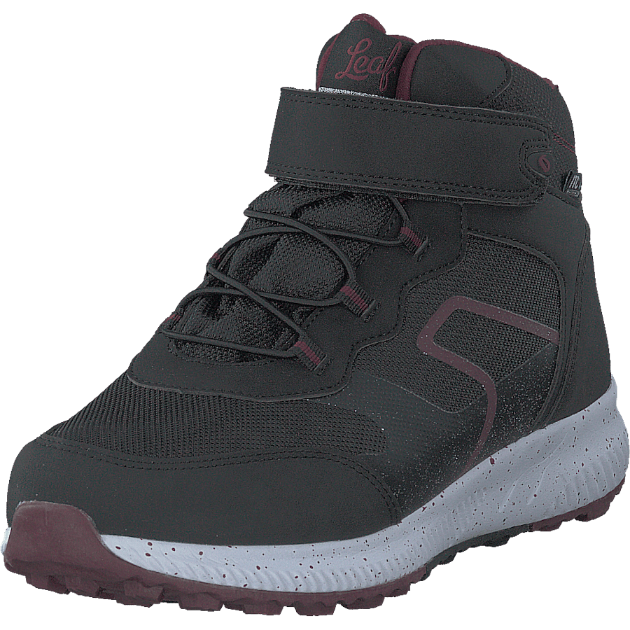 Lavia Blacklilac - Bild 3