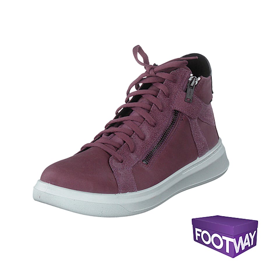 Cosmo Purple - Bild 3