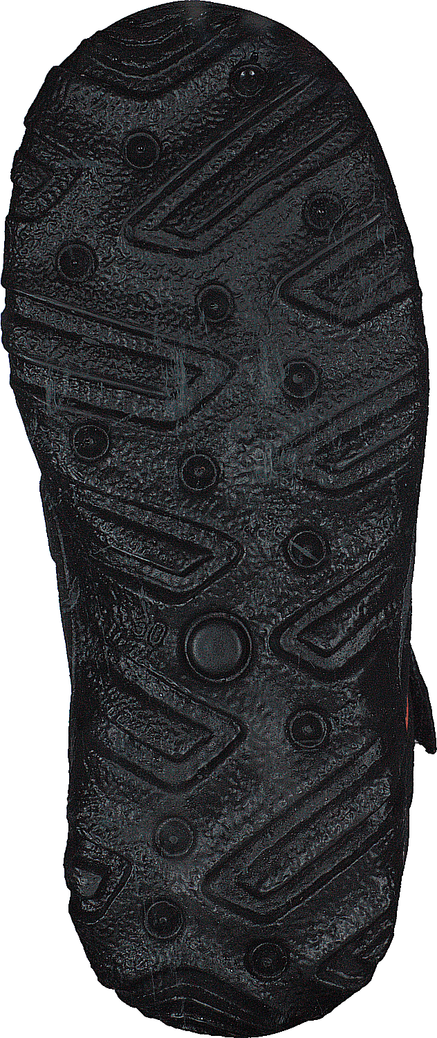 Husky1 Schwarz - Bild 7