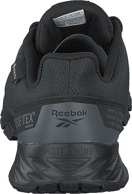 Astroride Trail Gtx 2.0 Cblack/cblack/spagry