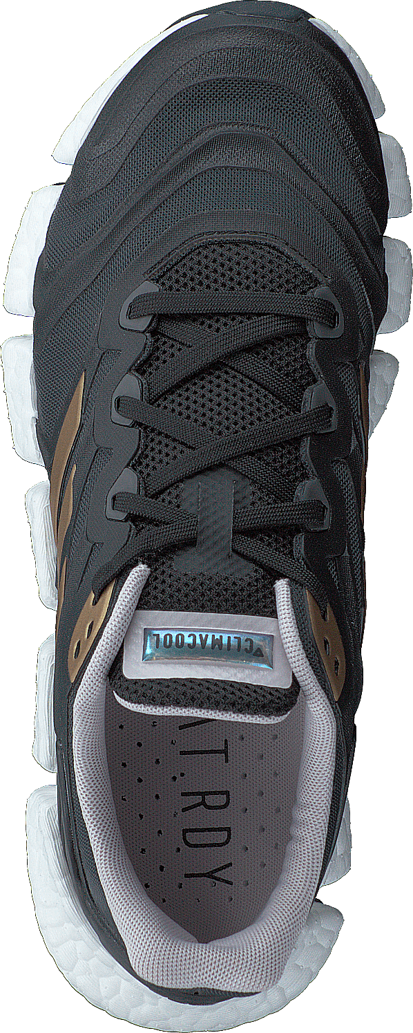 Climacool Vento Shoes Grey Six / Copper Metallic / Core Black - Bild 6