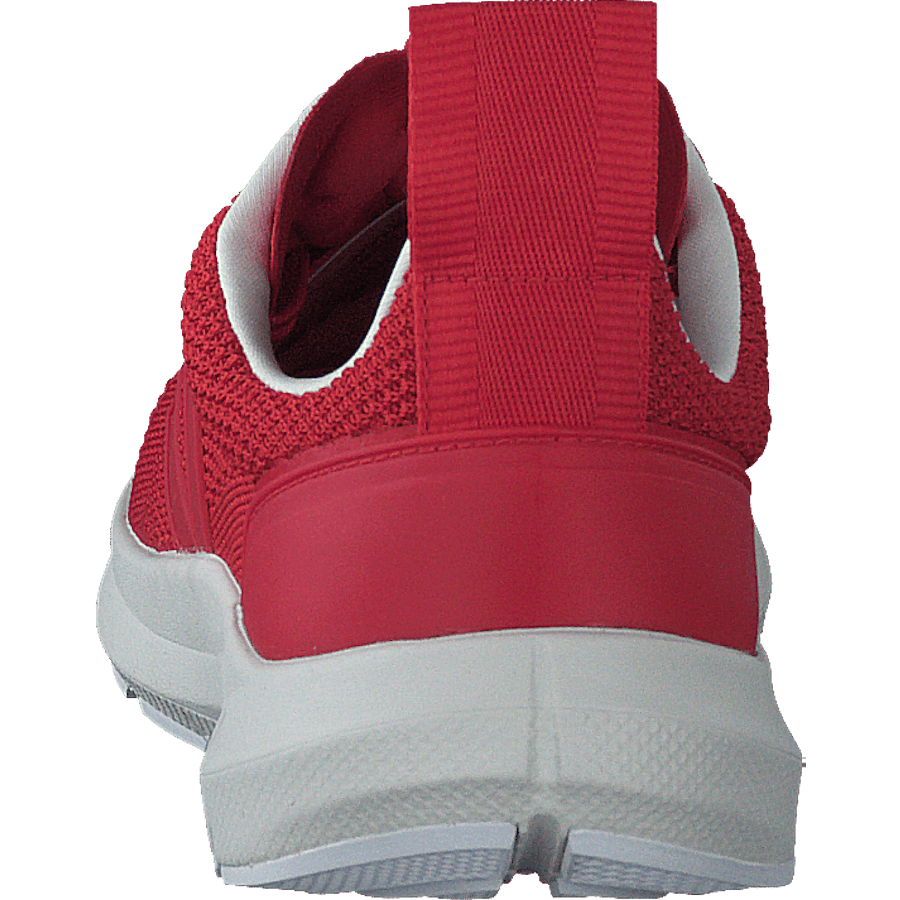 Performance Runner V-knit Rick Carnelian - Bild 5
