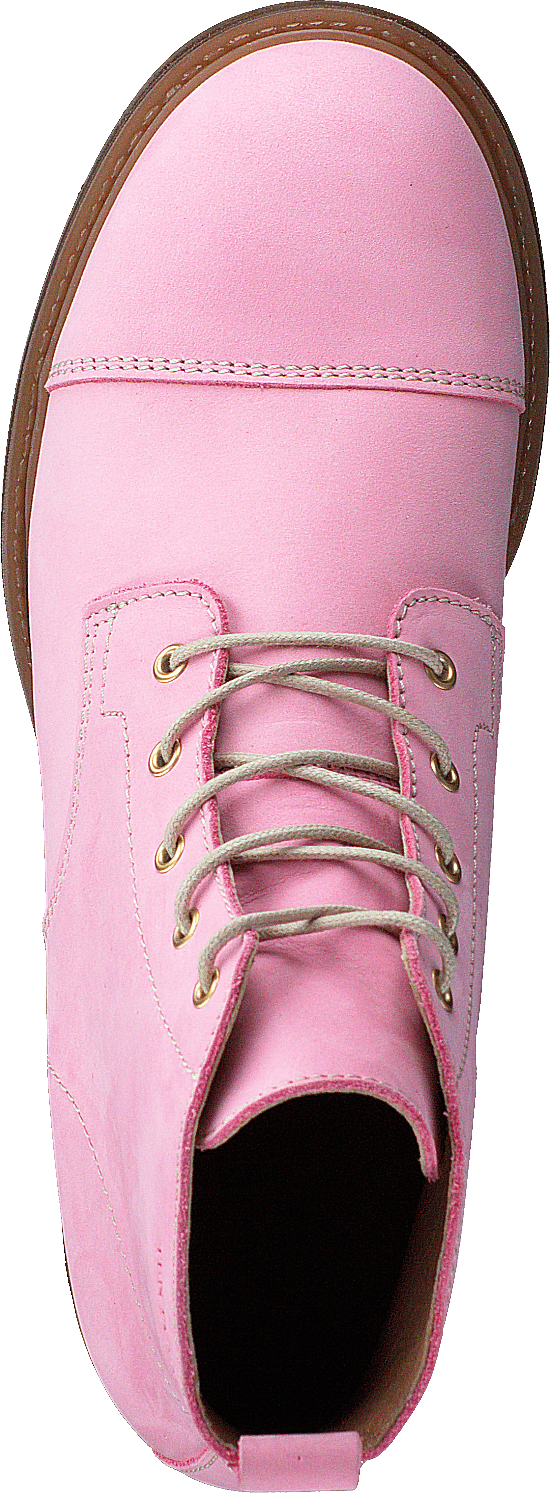 Pandora Rose - Bild 6
