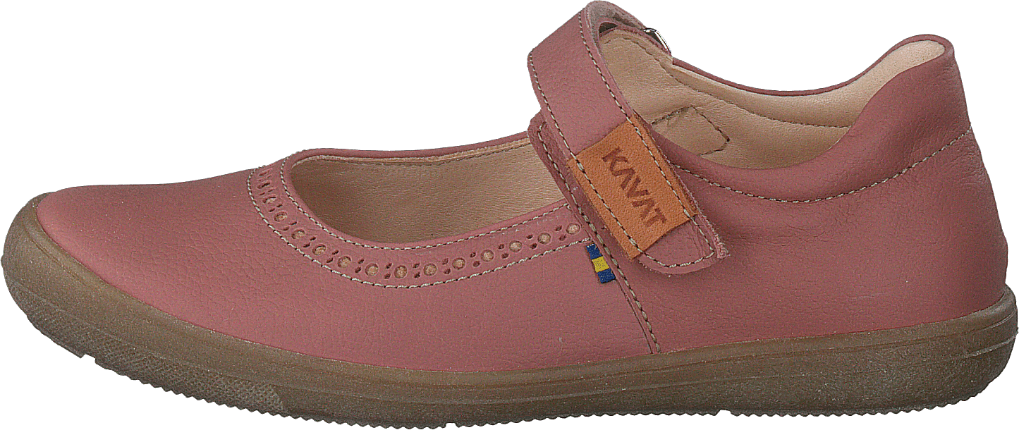 Ammenäs Ep Ash Rose