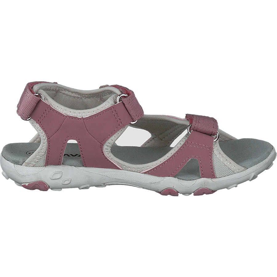 Rio Tx Ash Rose - Bild 2