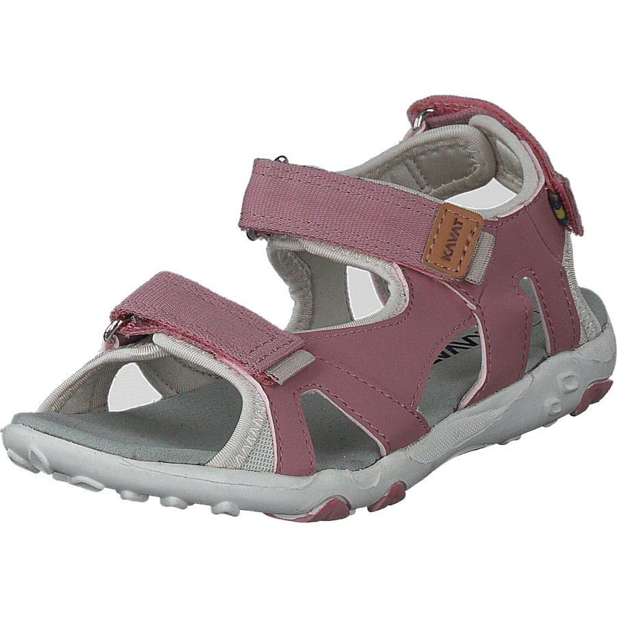 Rio Tx Ash Rose - Bild 3