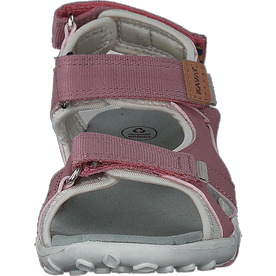 Rio Tx Ash Rose - Bild 4