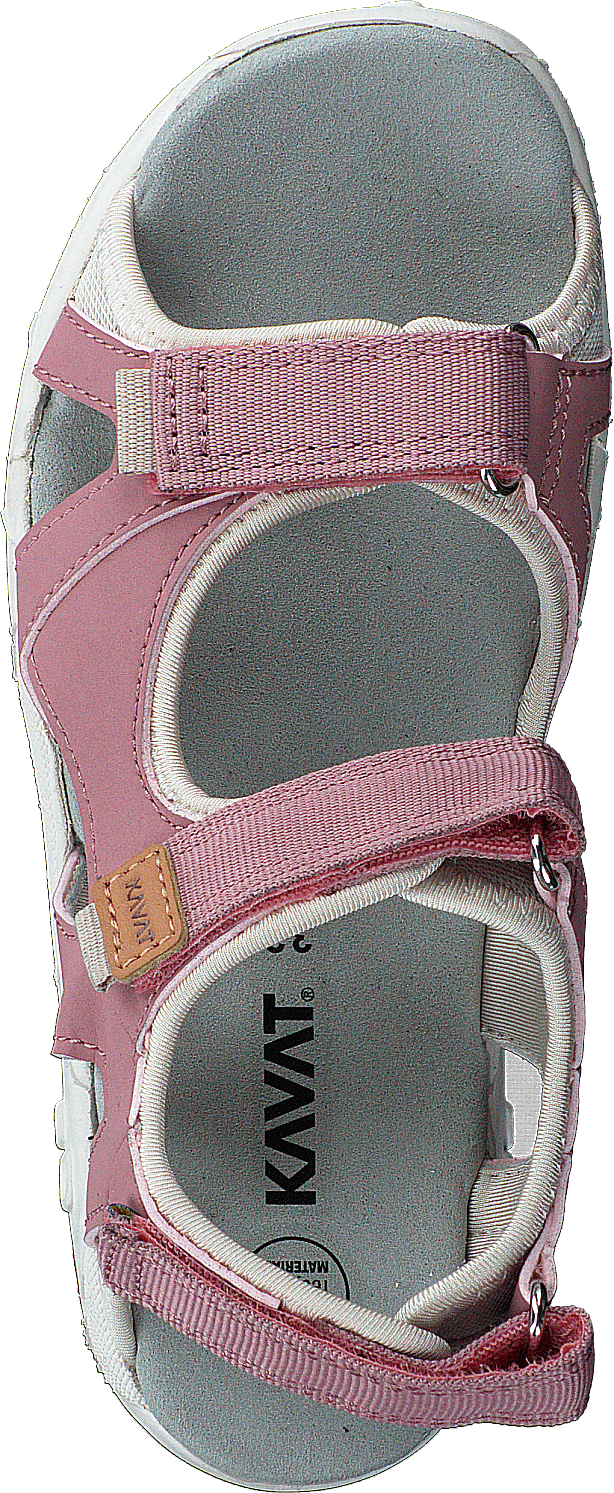 Rio Tx Ash Rose - Bild 6