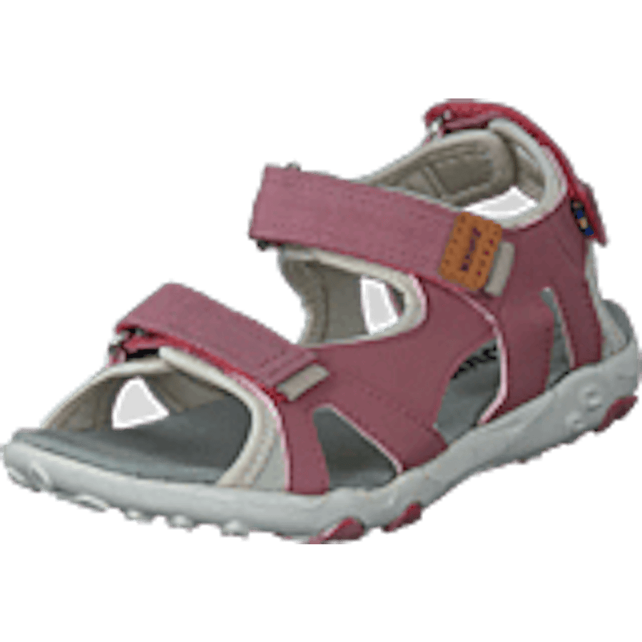 Rio Tx Ash Rose - Bild 9