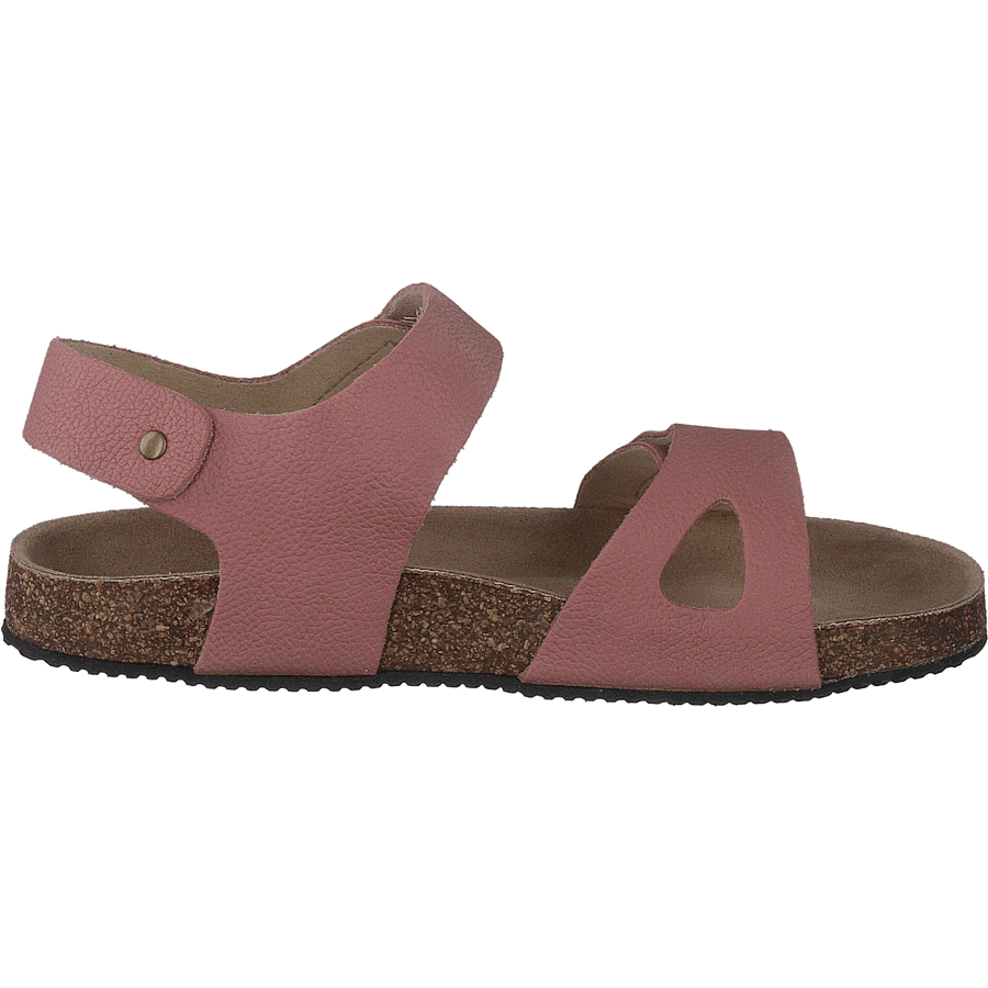 Bomhus Ep Ash Rose - Bild 2