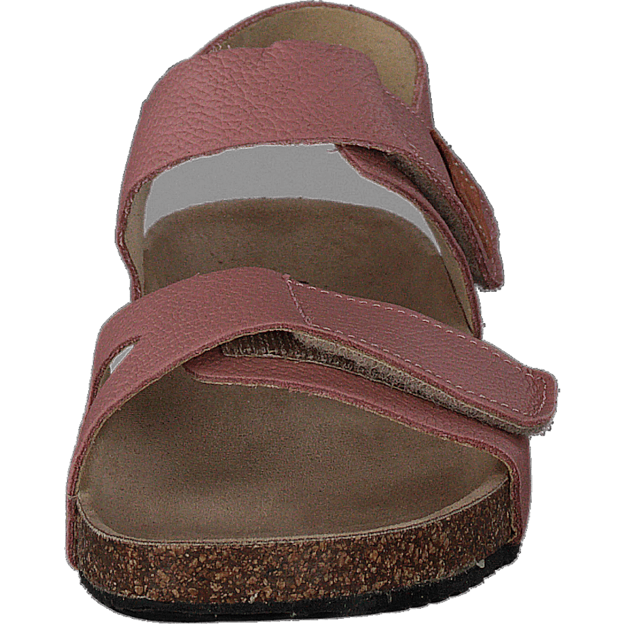 Bomhus Ep Ash Rose - Bild 4