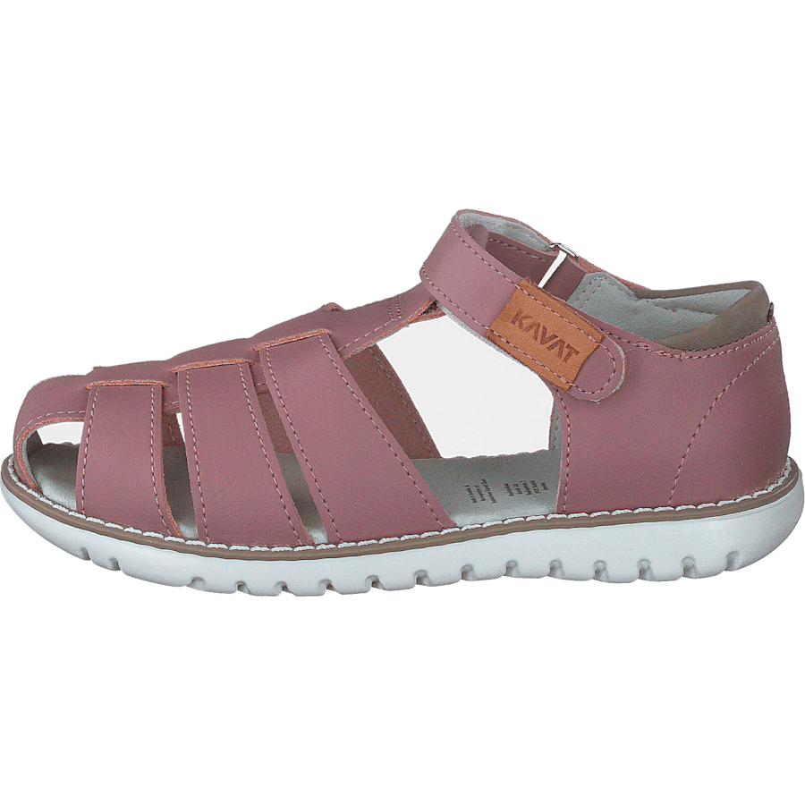 Hällevik Xc Ash Rose