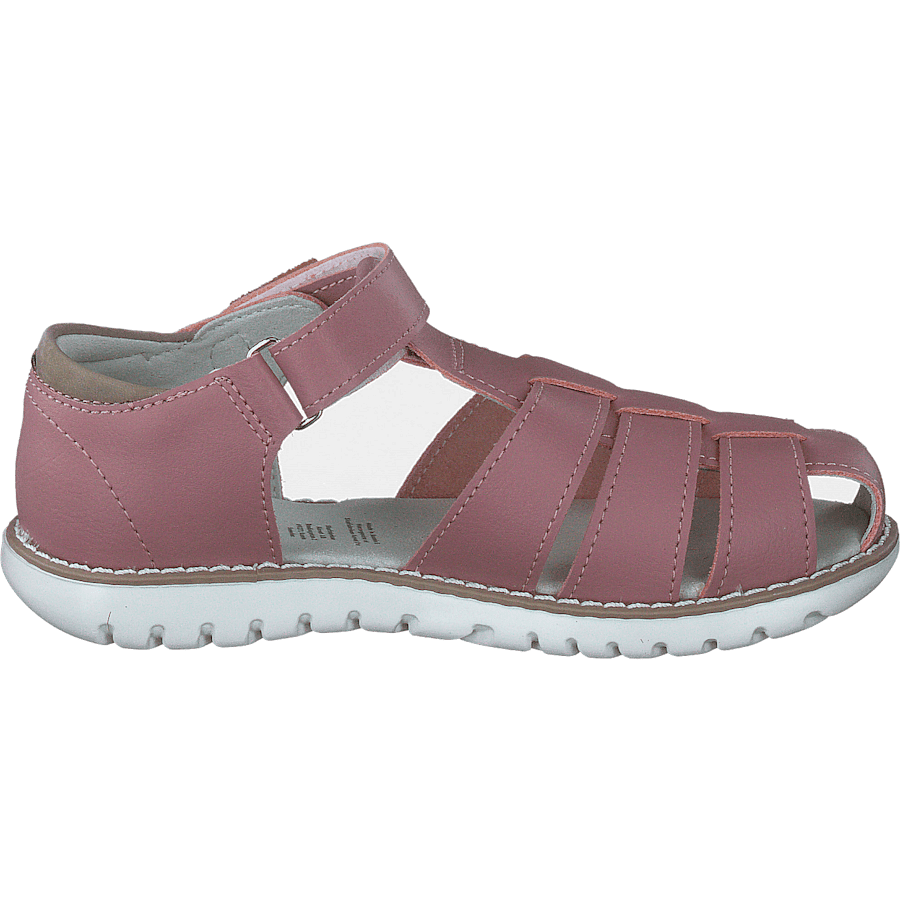 Hällevik Xc Ash Rose - Bild 2