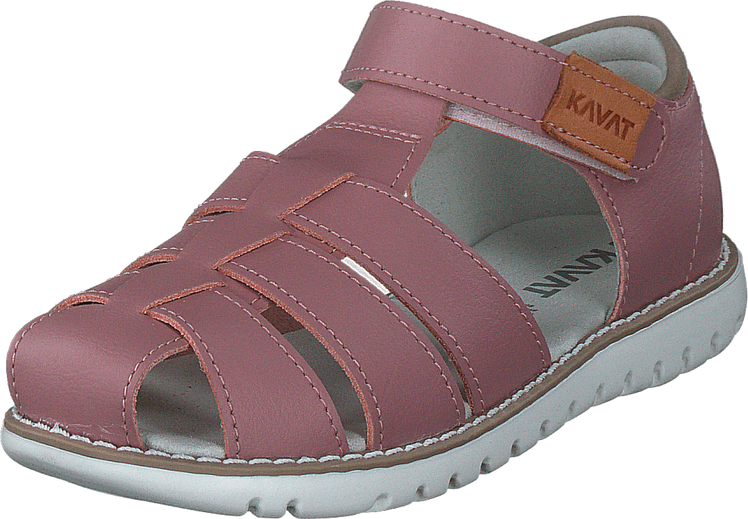 Hällevik Xc Ash Rose - Bild 3