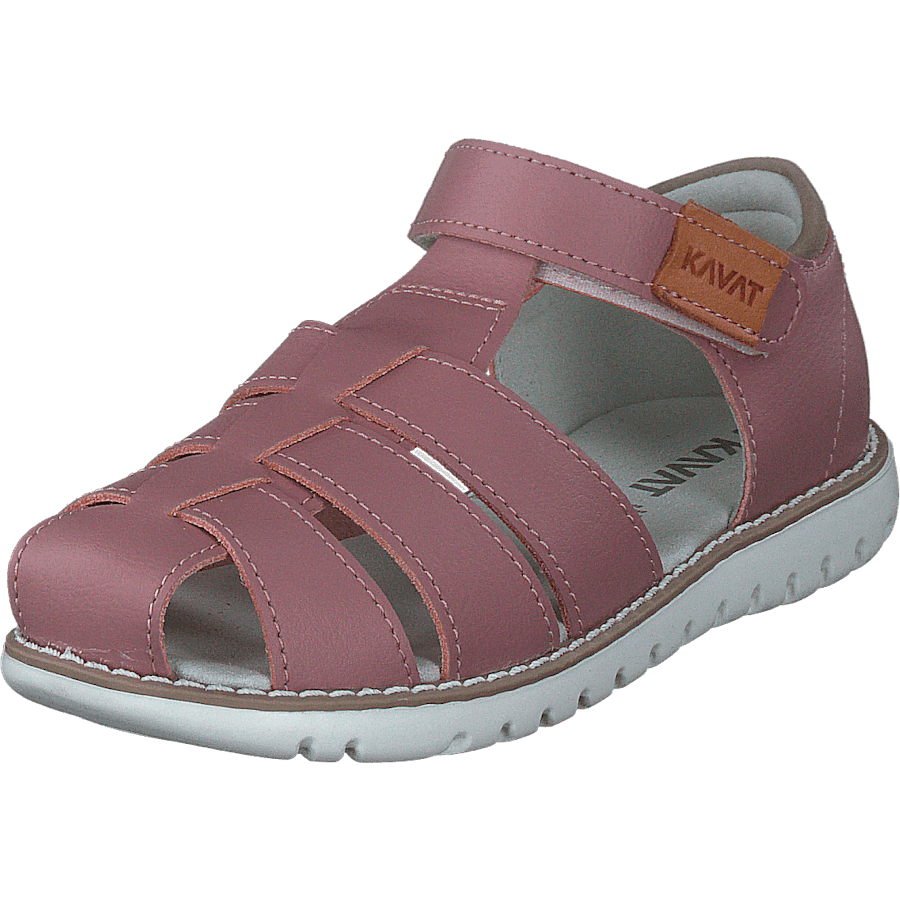 Hällevik Xc Ash Rose - Bild 3